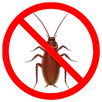 Cockroach Control Newtown